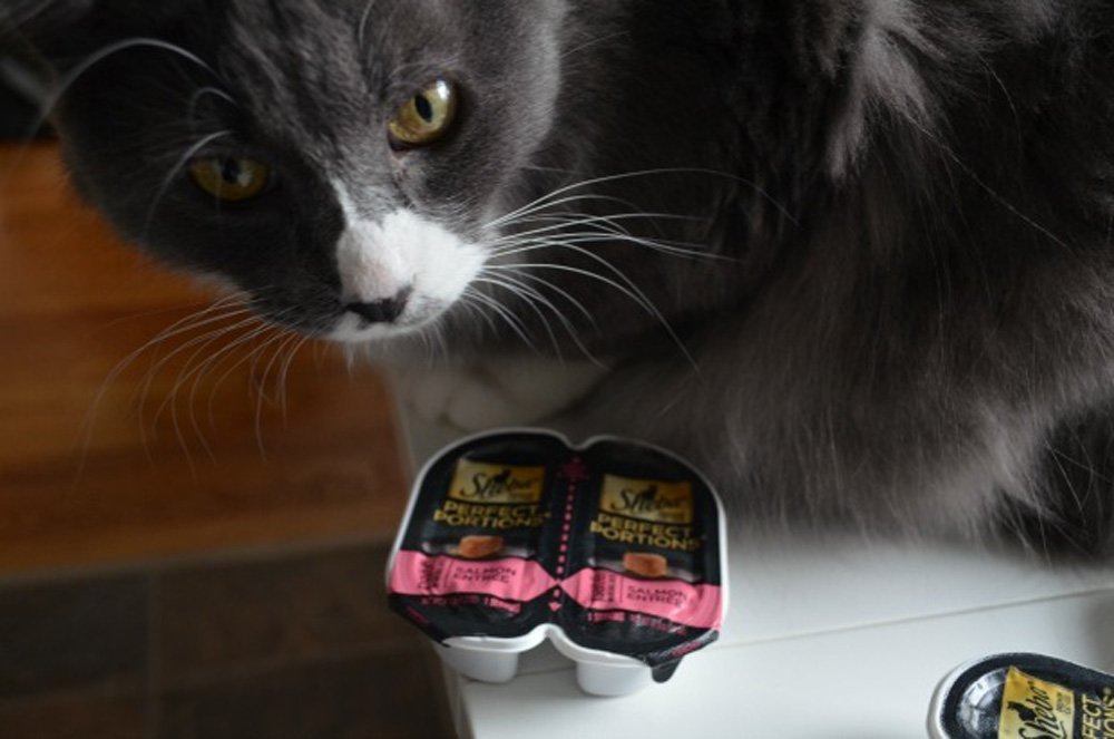 Brand Name: Sheba Product Name: Sheba Perfect Portions Multipack Salmon and Whitefish & Tuna Entrée Wet Cat Food Corn Soy Wheat Free (12 Twin Packs), 1.98 Pounds - Image 3