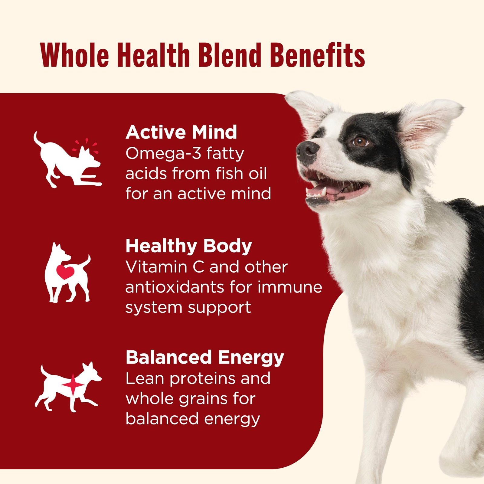 Brand Name: Nutrish Product Name: Nutrish Dry Dog Food, Real Beef, Pea & Brown Rice Recipe Whole Health Blend for Adult Dogs, 40 lb. Bag, Packaging May Vary (Rachael Ray) - Image 3